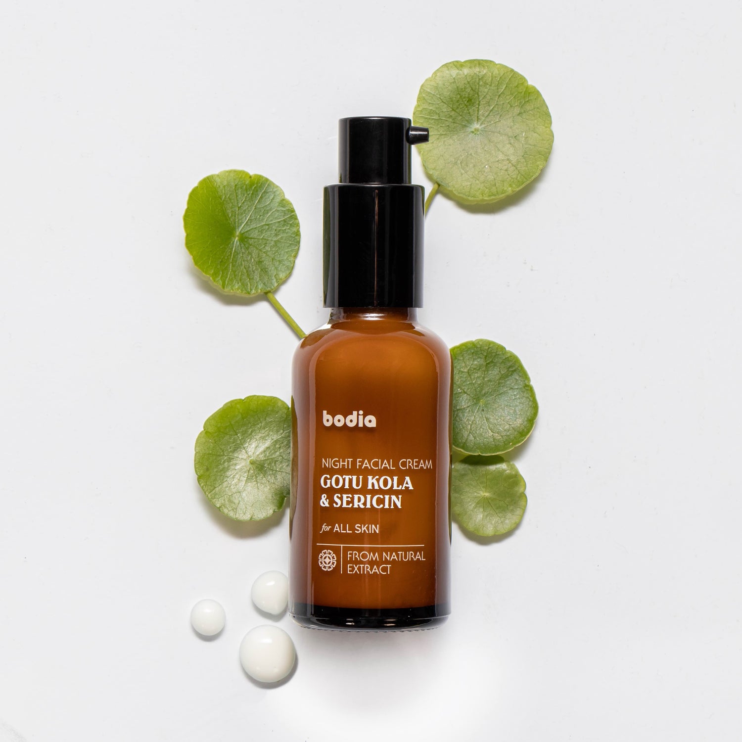 Noční krém – pupečník asijský & hedvábný protein