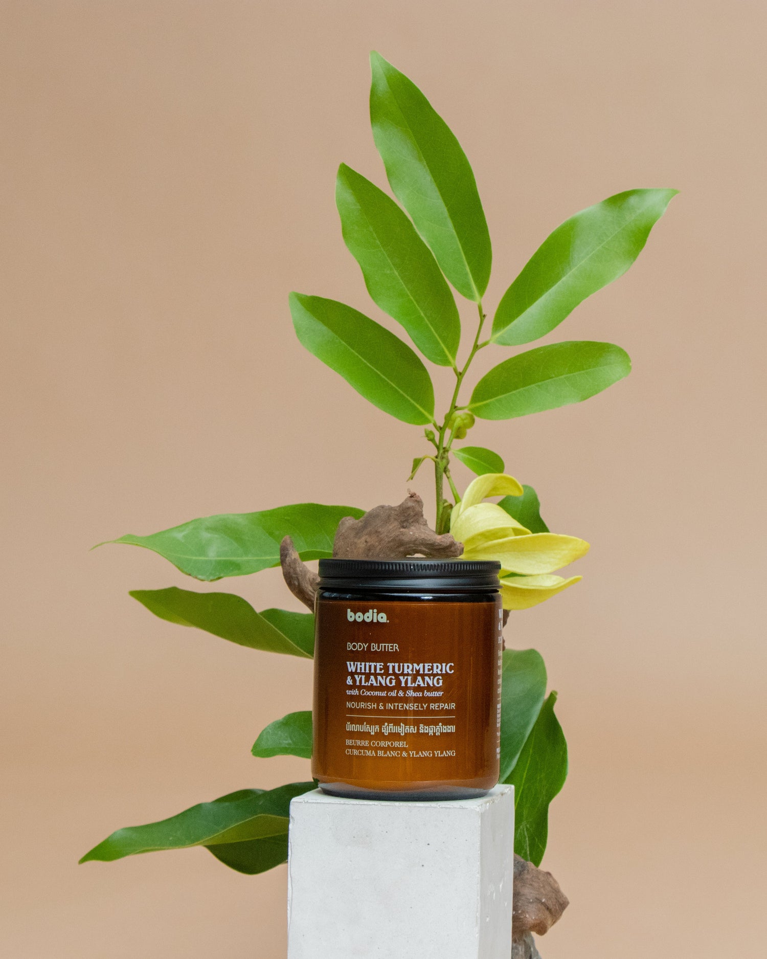 Beurre corporel – curcuma blanc & ylang-ylang 